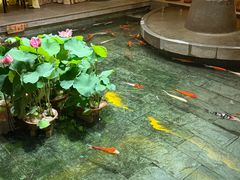 -惠食佳(滨江大公馆店)