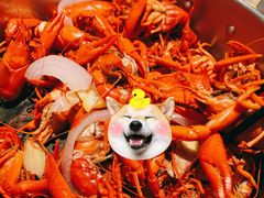 -蚝翅·海鲜粥·烧烤·宁夏滩羊季(玉米楼店)