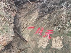 -天女山森林公园