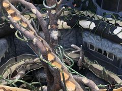 -疯狂屋