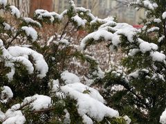 -德记牛肉社潮汕鲜切牛肉火锅(中心路店)