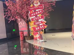 -春天国际影城(中庚漫游城杜比全景声店)