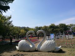 -丹樱生态园