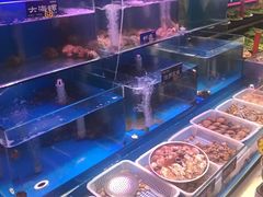 水产区-粥全粥到海鲜家常菜·海肠捞饭(嫩江路店)