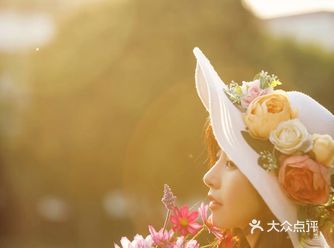 轻翅回巢的燕尾。满载着一拢肩花