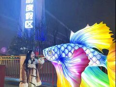 -郑州方特梦幻王国