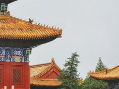 -北京市劳动人民文化宫