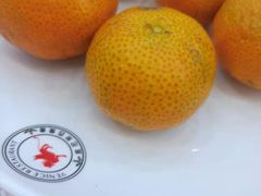 -威尼斯西餐厅(古镇店)