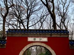 -灵谷景区