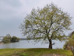 -东湖生态旅游风景区