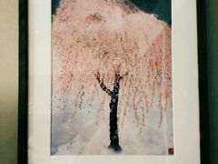 android_upload_pic-苏州独墅湖书香世家酒店