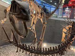 -国家自然博物馆