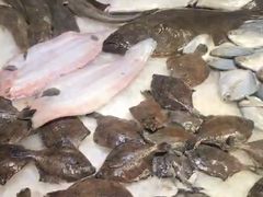 -和源祥·日照菜扛把子(万平口一店)