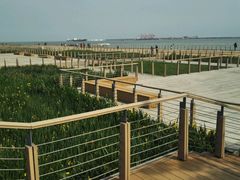 观海平台-东疆建设开发纪念公园
