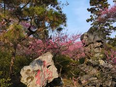 -杭州植物园