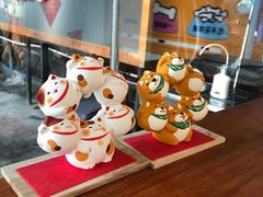 -柴犬高等学院·狗咖·柴犬售卖·宠物训练