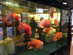 -老保定驴肉馆(云岗路店)
