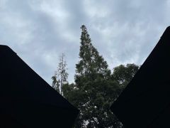 -星巴克(兰桂坊店)