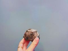 -都恩客(高岛屋百货店)