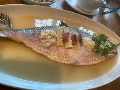 -宁波柏悦酒店·钱湖渔港