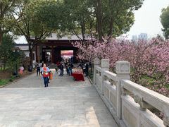 -南汇桃花村