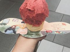 杨梅冰淇淋-野人先生现做冰淇淋(西安赛格店)
