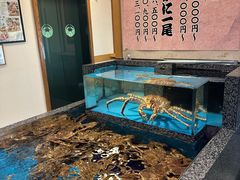 -蟹道乐(梅田店)