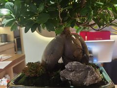-雾·江·鲜建德菜