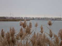 -野鸭湖国家湿地公园