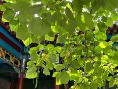 -张学良旧居陈列馆
