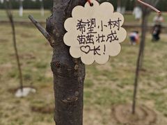 -汉长安城未央宫国家考古遗址公园