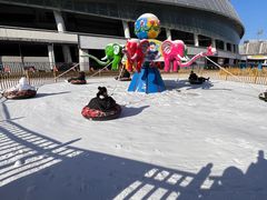 -沈阳奥体冰雪嘉年华