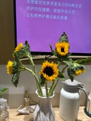 -圣提生活馆