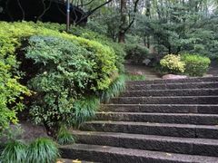 -杭州半山国家森林公园