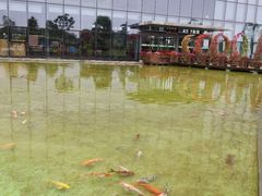 -南通洲际绿博园