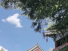 -洛阳白马寺