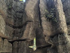 -梭布垭石林景区