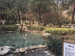 -洪湖悦兮半岛国际温泉度假村