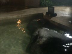 -鱼凫国都大酒店温泉
