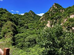 -大岭沟猕猴桃谷风景区