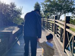 -溱湖国家湿地公园