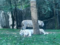 -北京野生动物园