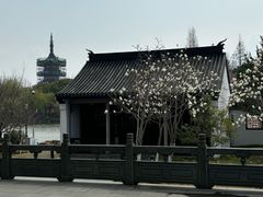 -东湖景区