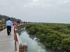 -北海金海湾红树林生态旅游区