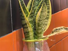 -前进5路汉堡炸鸡(汉街skp店)