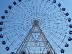 -秦皇岛乐岛海洋王国