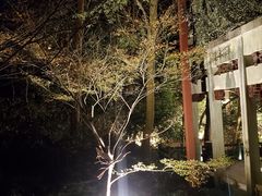 -宋宴(虎跑店)