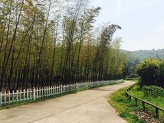 -龙寺生态园