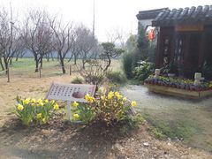 -苏州上方山国家森林公园