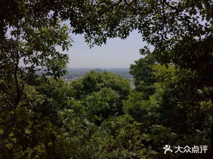 上海佘山國家森林公園天馬山園圖片